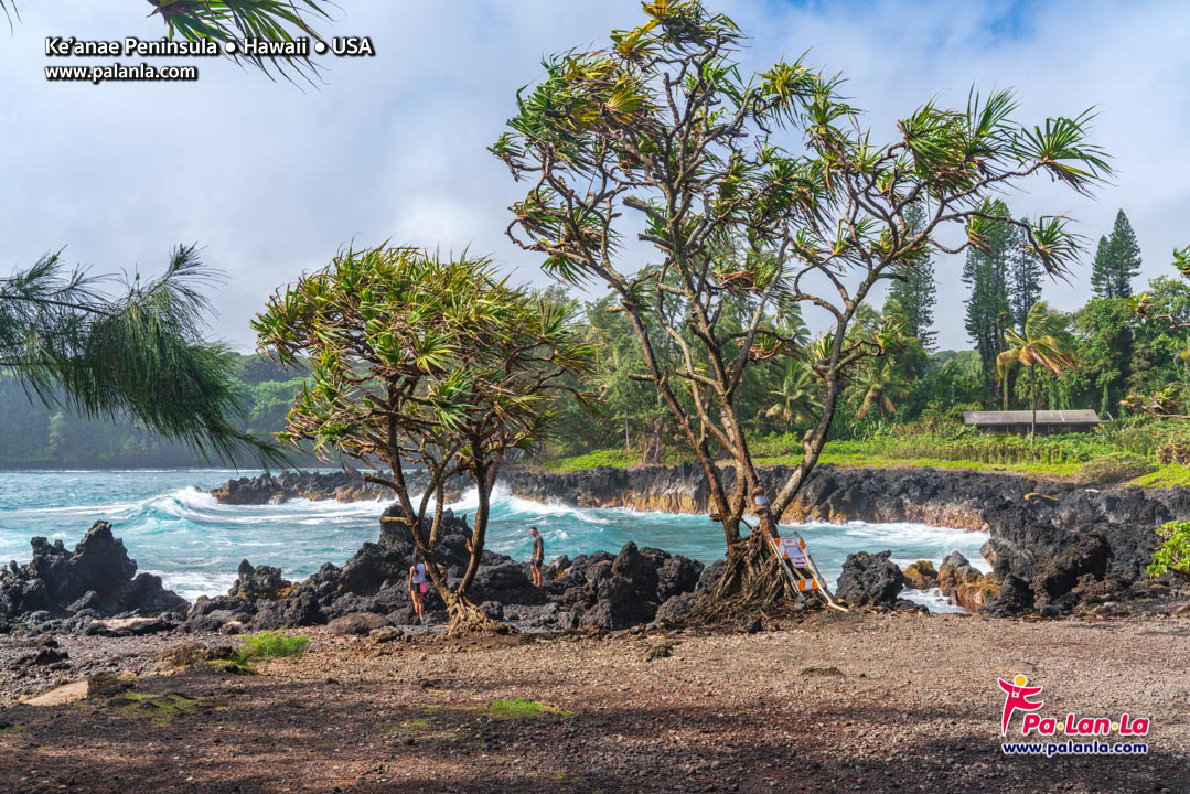 Ke'anae Peninsula